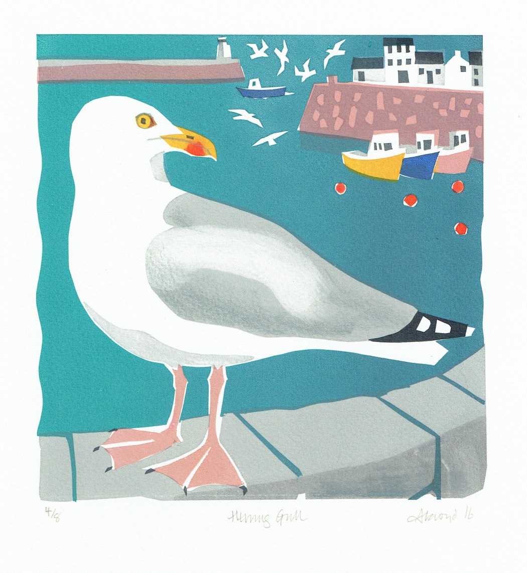 Herring Gull Print by Carry Akroyd — Pallant