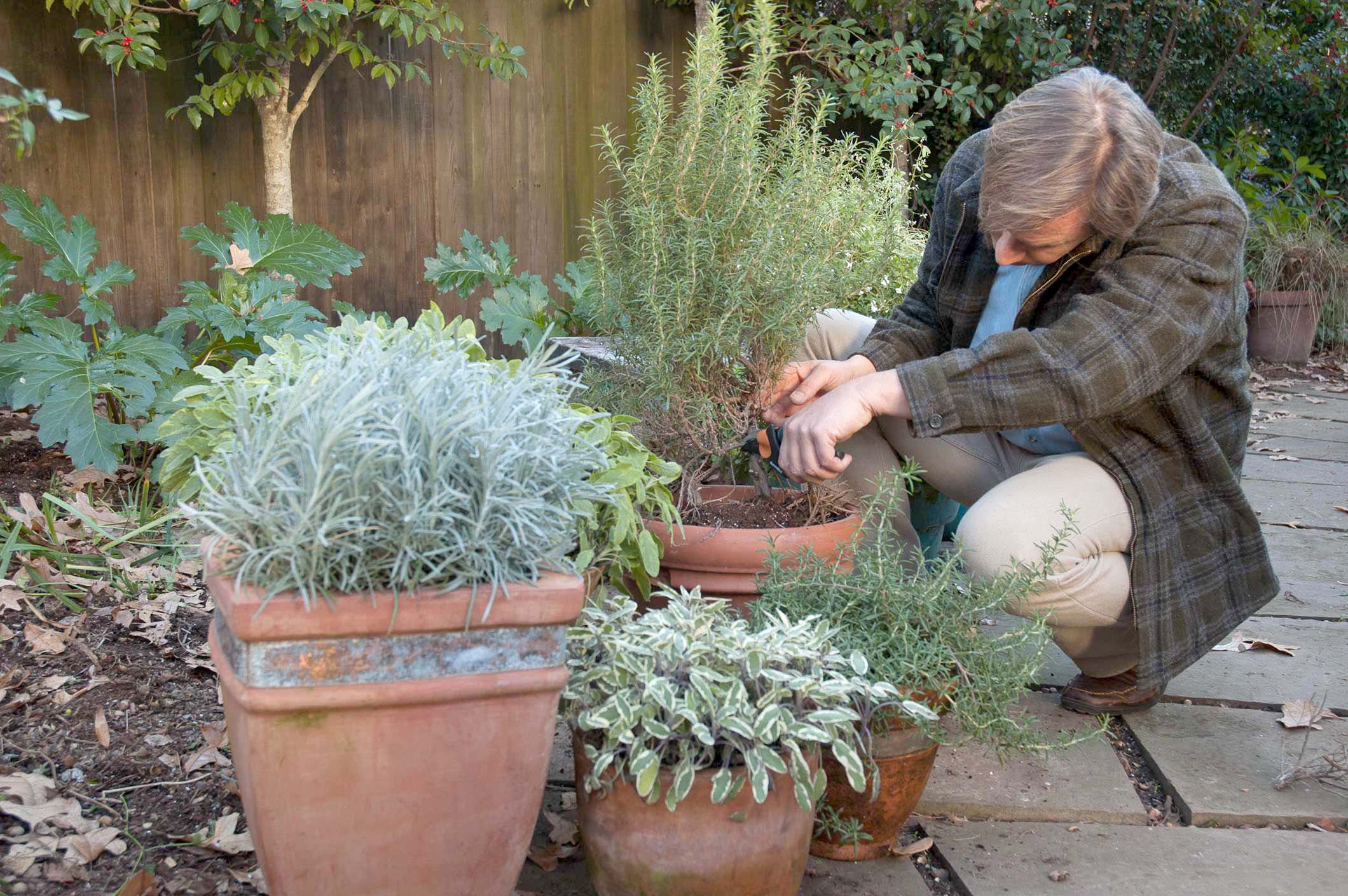 Clustering Containers P. Allen Smith
