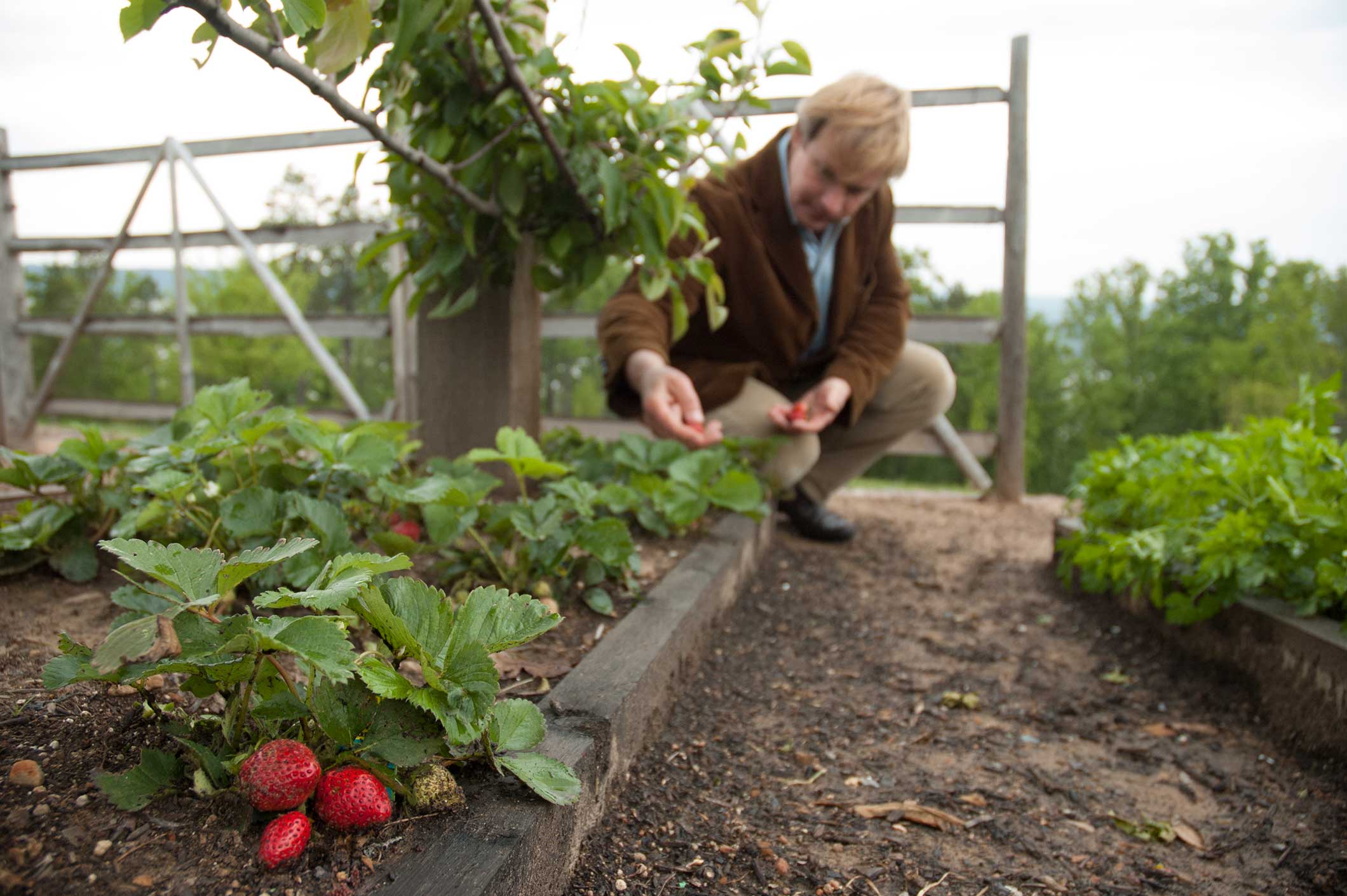 Gardening with Arthritis