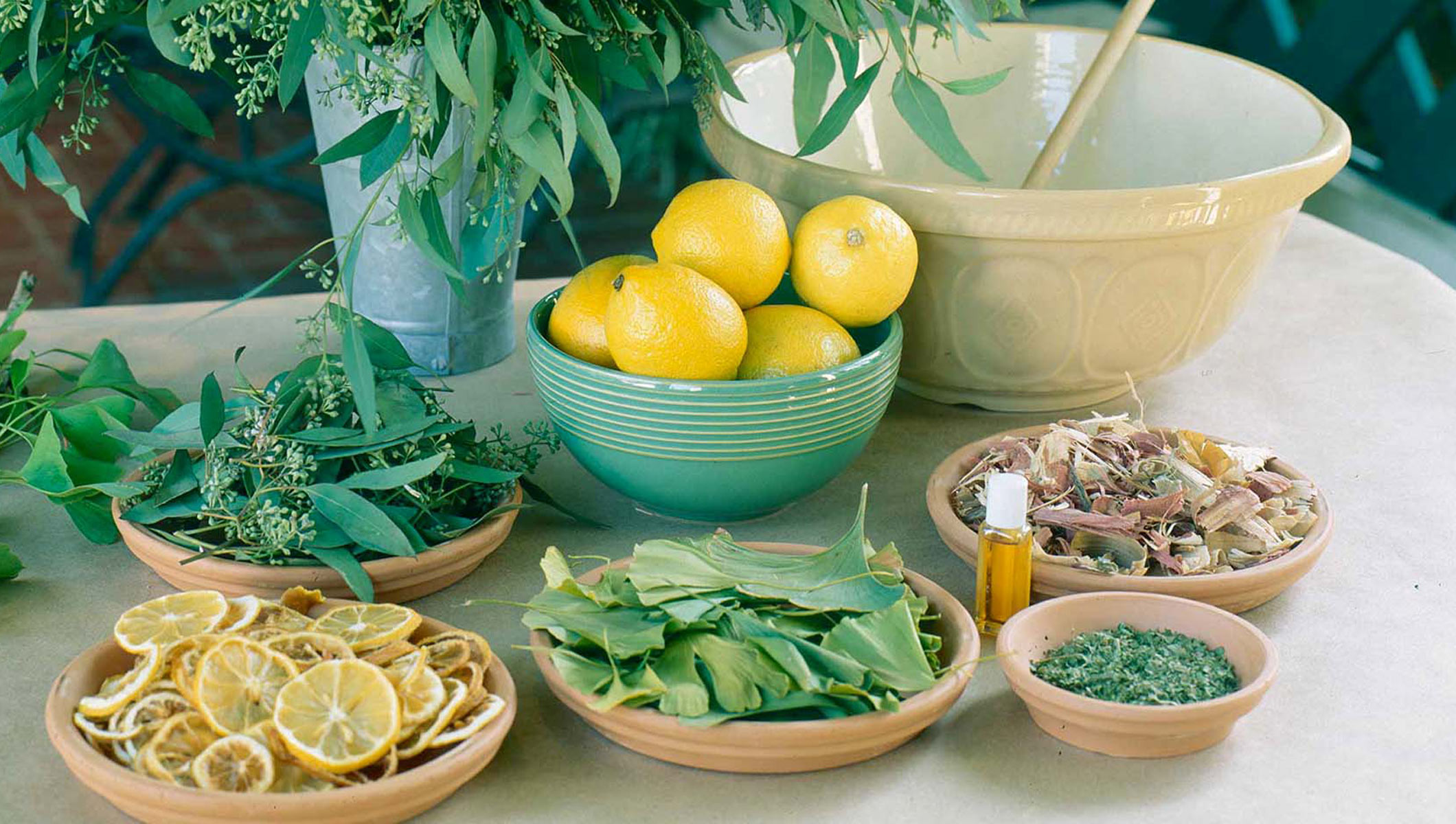 Lemon Eucalyptus Potpourri P. Allen Smith
