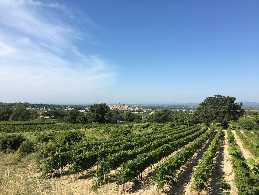 Galerie photo Notre Dame des Pallières producteur de vin Gigondas Côtes