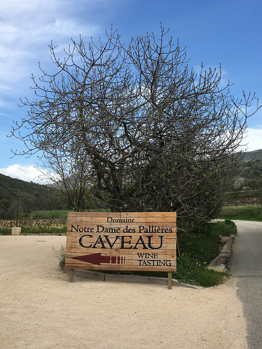 Galerie photo Notre Dame des Pallières producteur de vin Gigondas Côtes