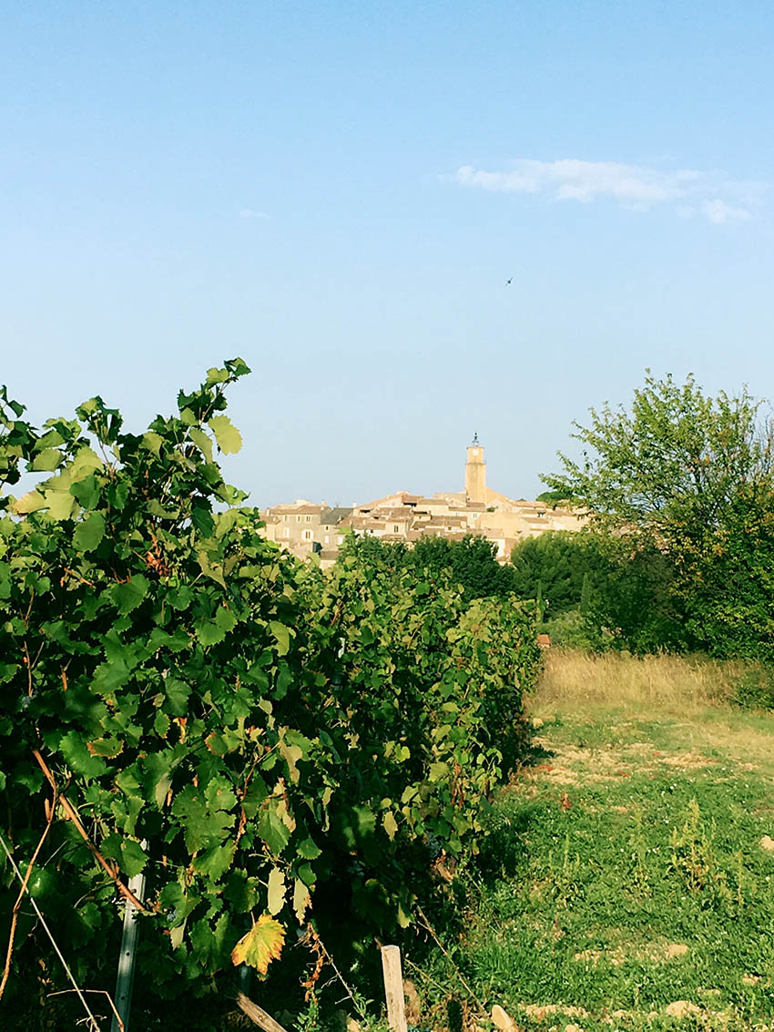 Galerie photo Notre Dame des Pallières producteur de vin Gigondas Côtes