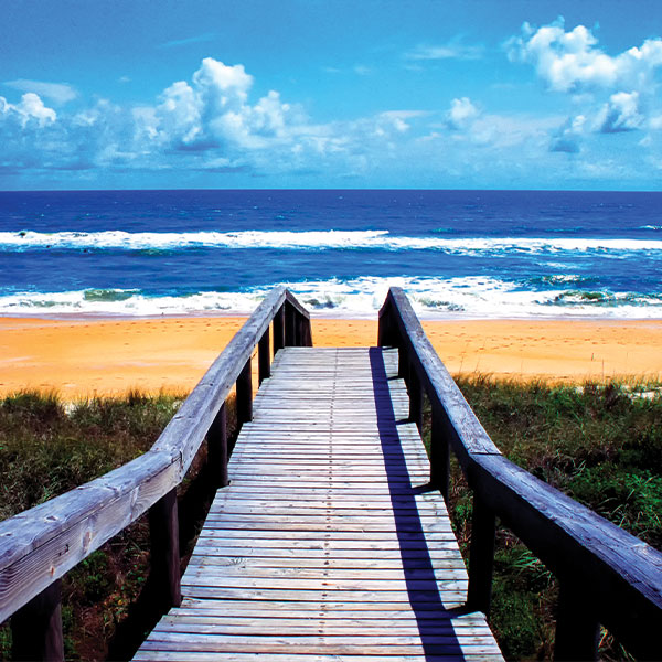 Real Estate Agents Palm Coast, FL Palm Coast Agent