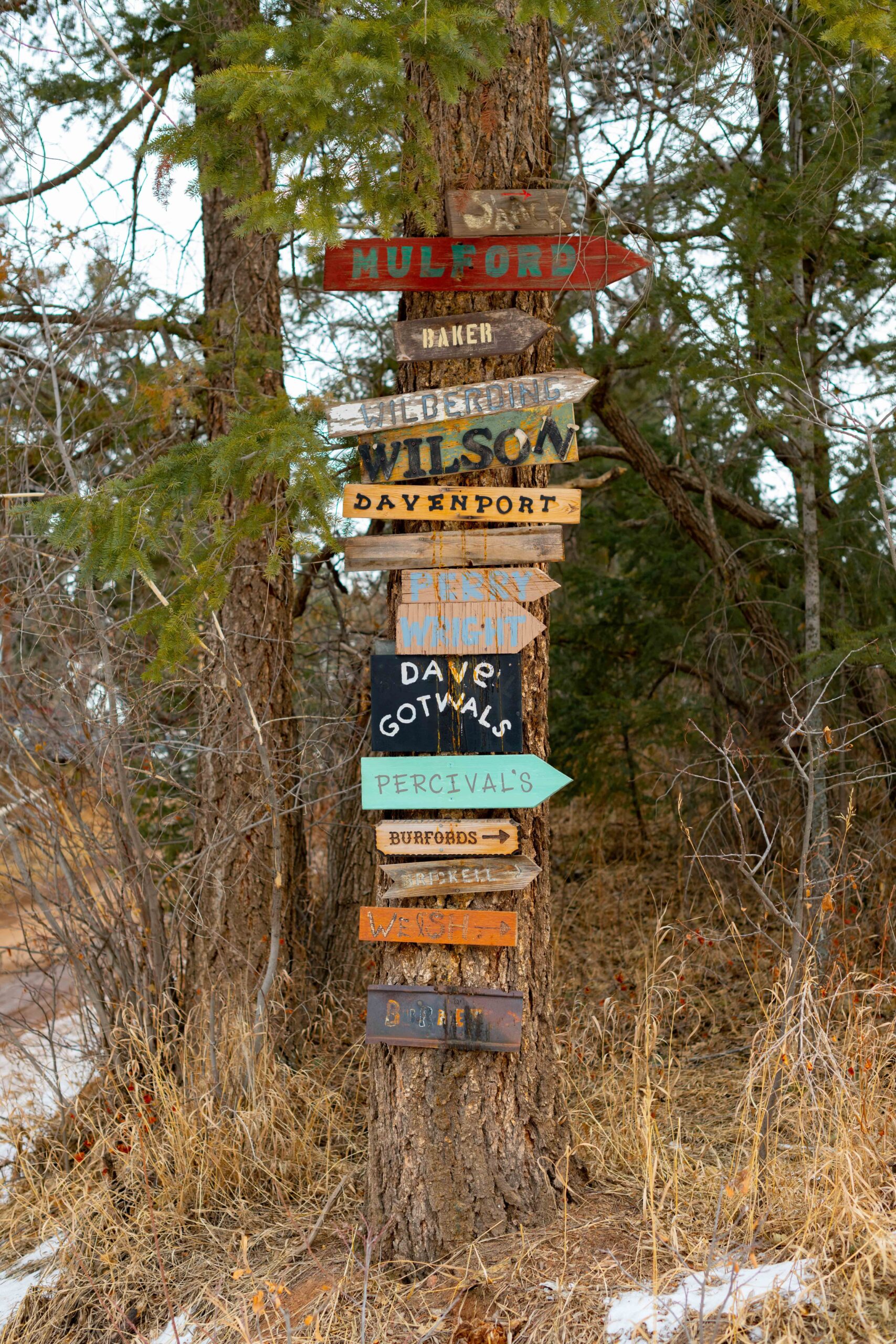 Home Palmer Lake Colorado