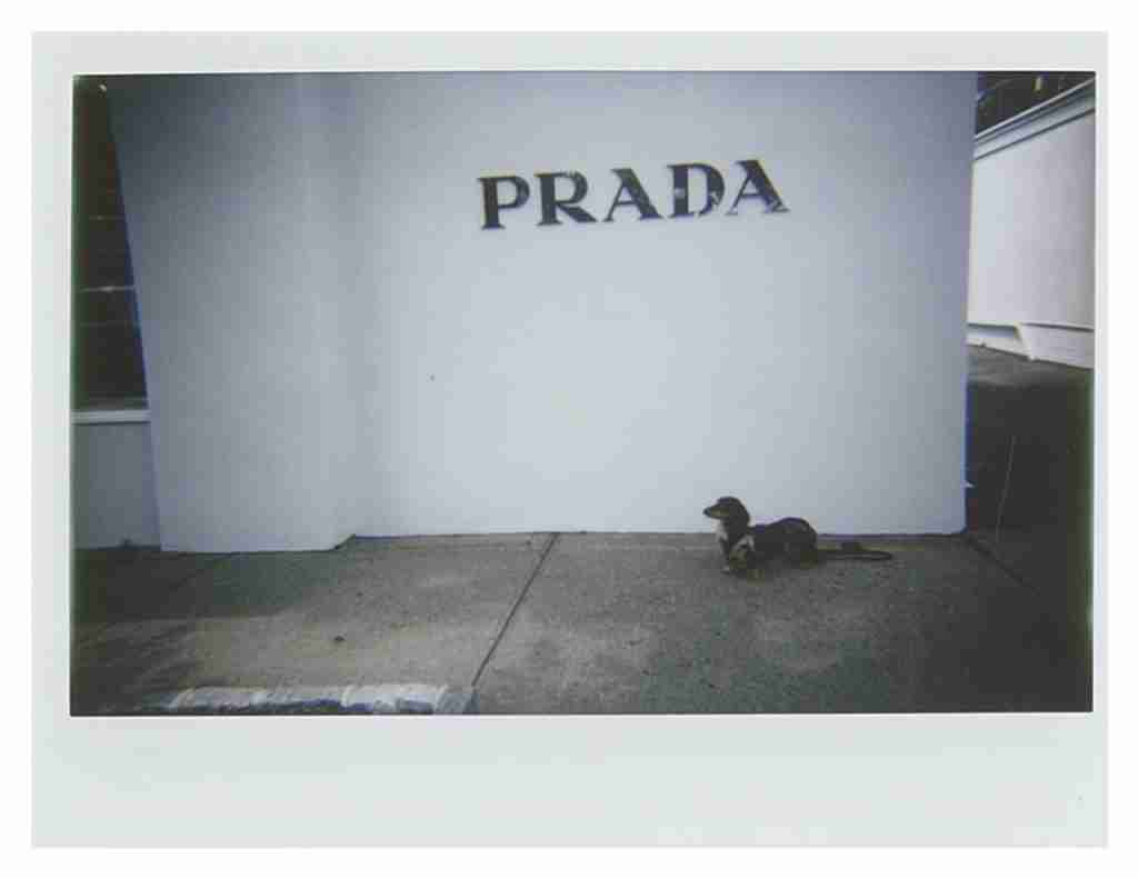 What's New in Shopping and Dining in the Hamptons Palmer PB