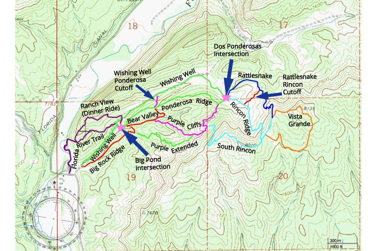 Trail Riding Palmer Quarter Horses