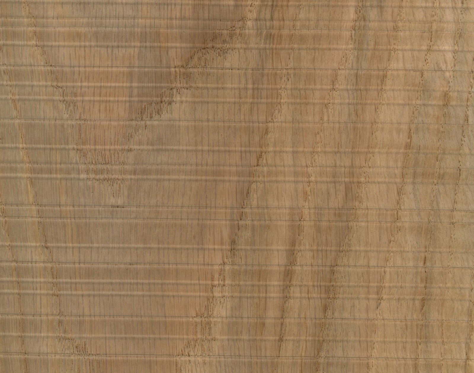 Oak Rough Cut Losan Veneers Palmer Timber