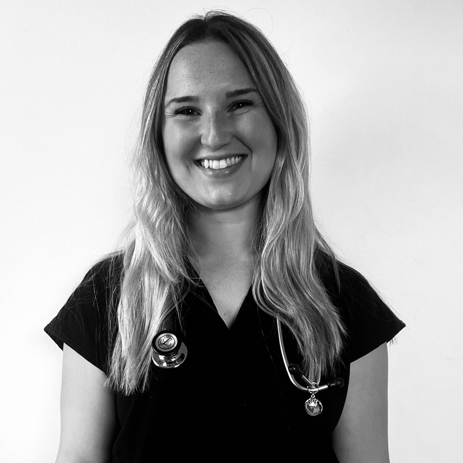 About Us Palmer Veterinary Clinic