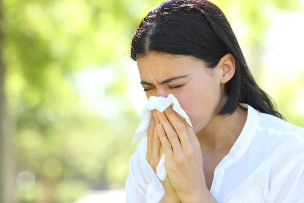 Surviving Spring Allergies in Florida Palm Harbor Pharmacy