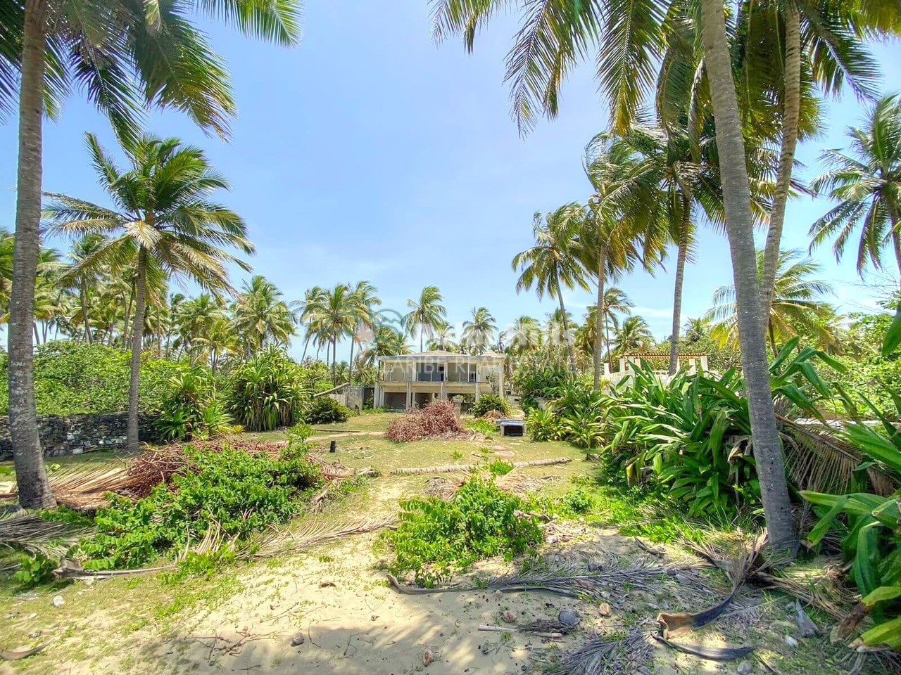Beachfront Lot on the Nature Beach of Dominican Republic