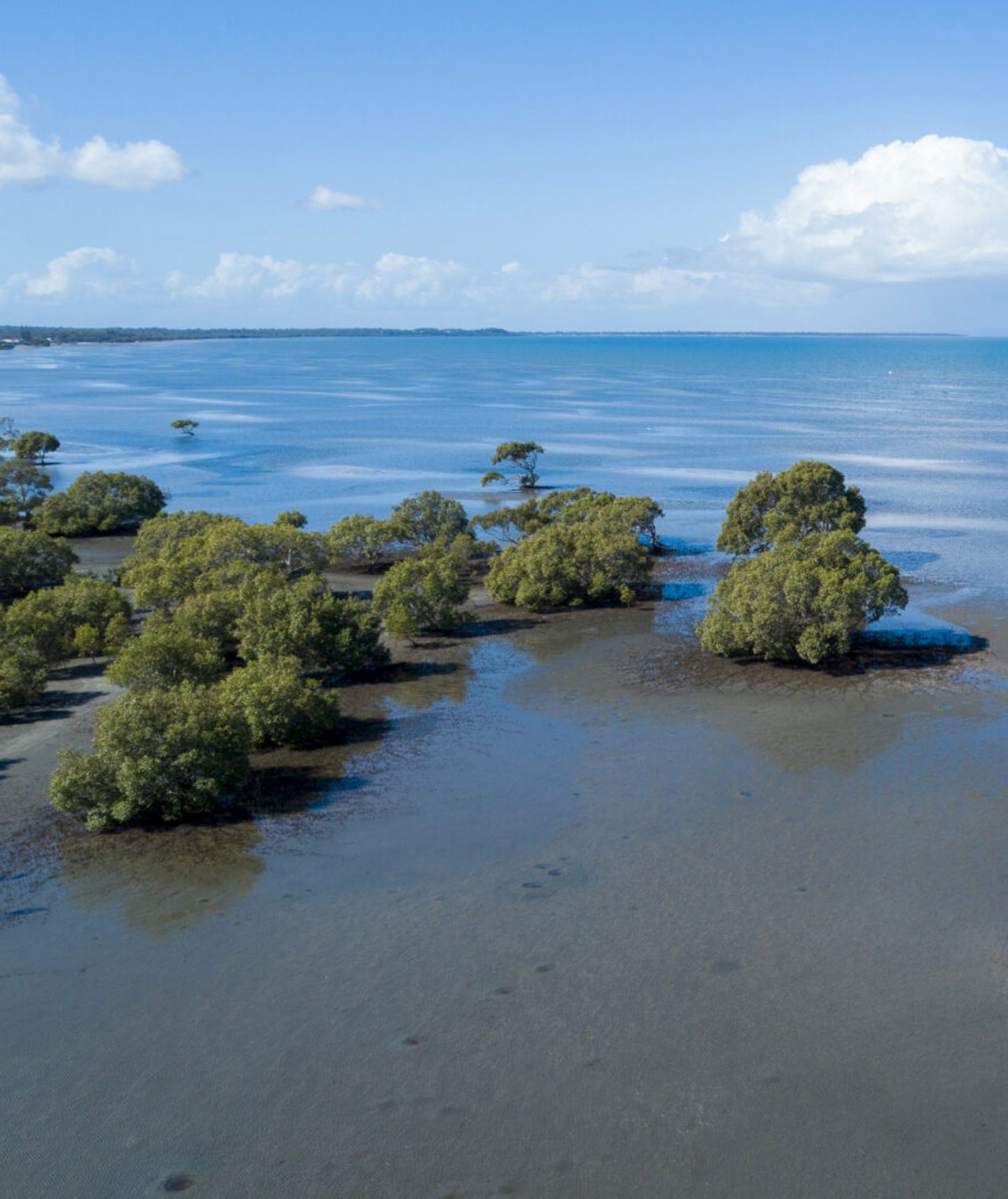 Beachmere Sands Resort Over55s Resort Living Palm Lake Resort