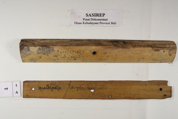 Sasirep Palm Leaf Wiki