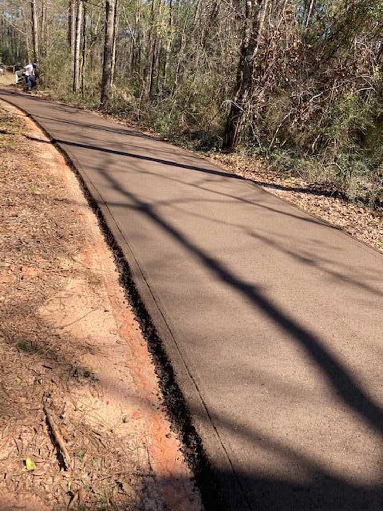 Asphalt Paving Services in Tampa, FL Palm Paving