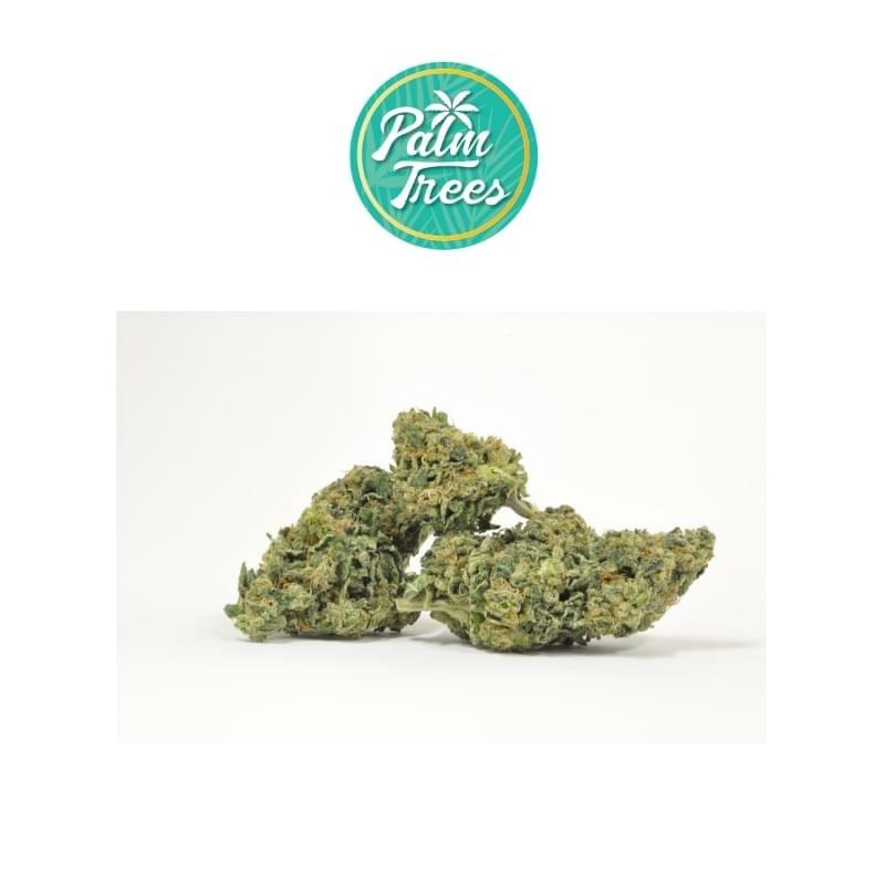 SOUR DIESEL PALM TREES DC