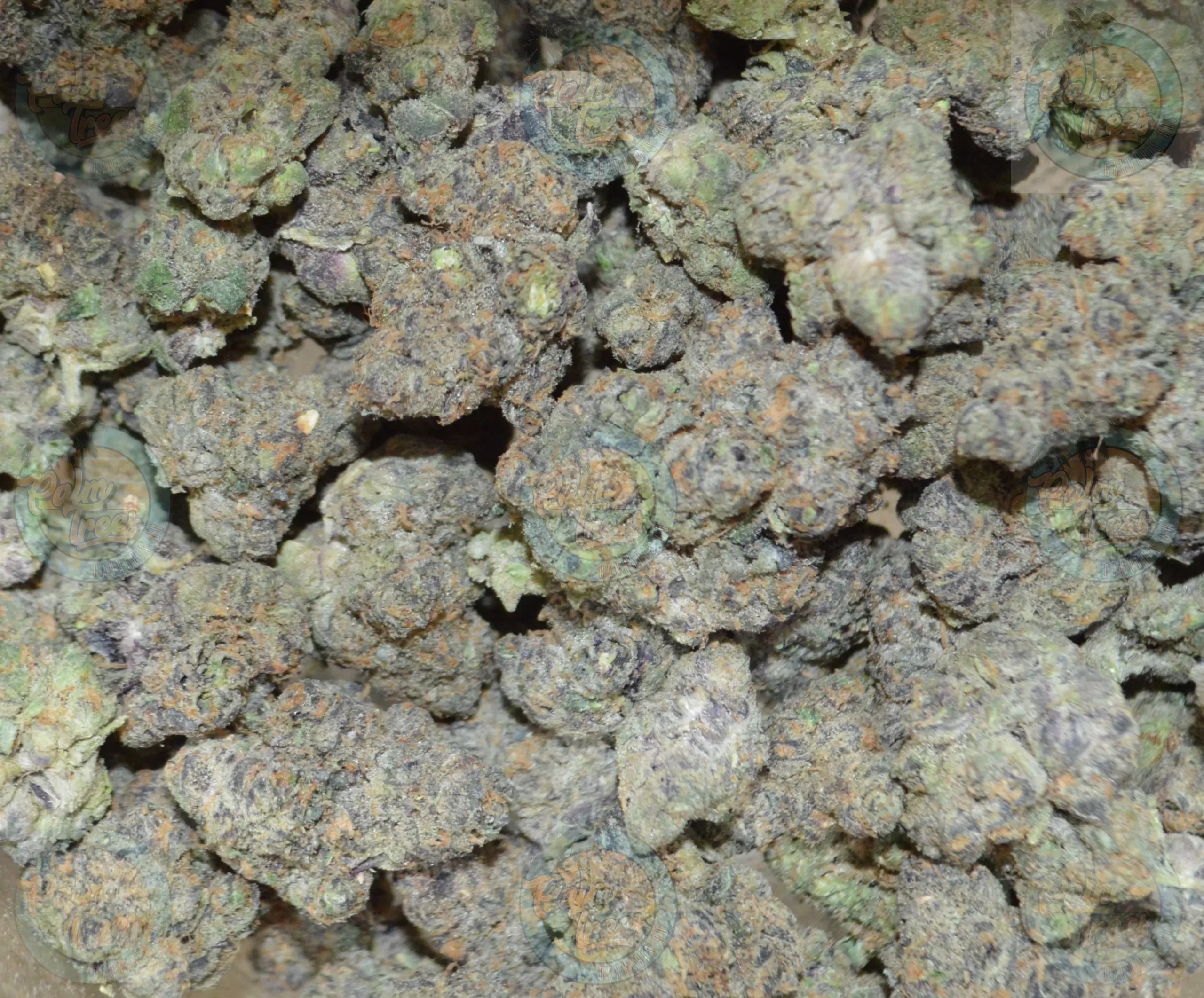 WHITE DURBAN Marijuana Delivery DC