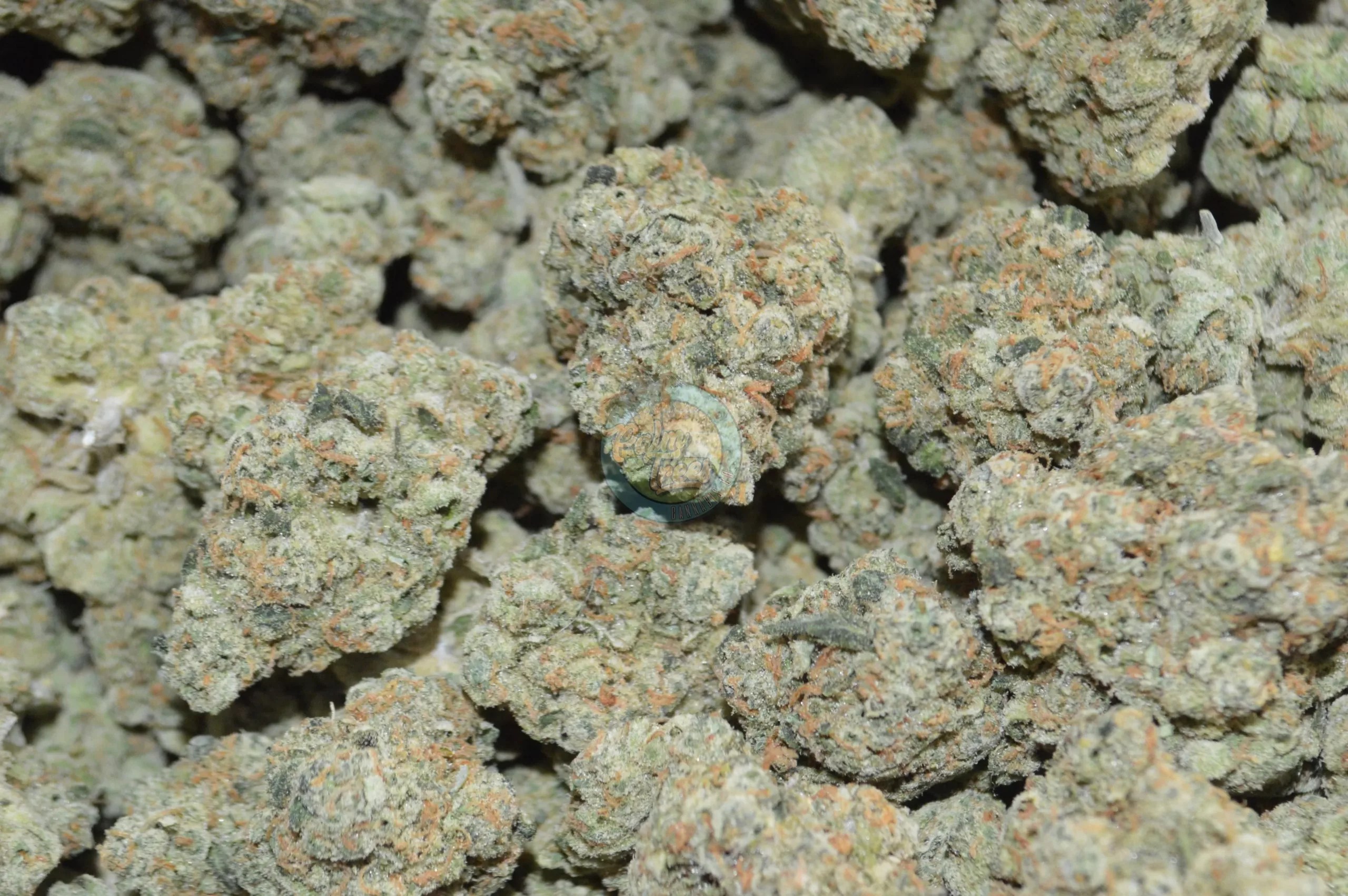 PINEAPPLE EXPRESS Marijuana Delivery DC