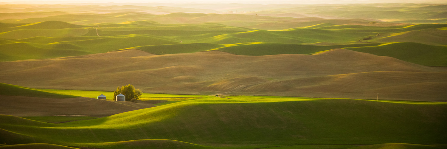 Home Palouse Capital Management