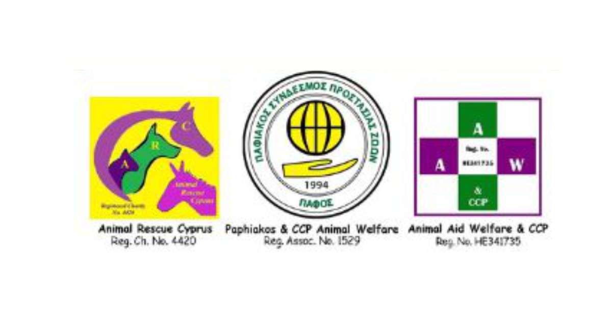 Animal Rescue Cyprus News Bites Pals Magazine Cyprus