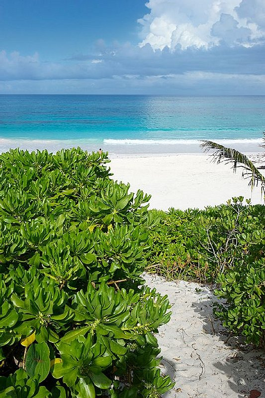 House on a Dune Great Beach House Harbour Island, Bahamas
