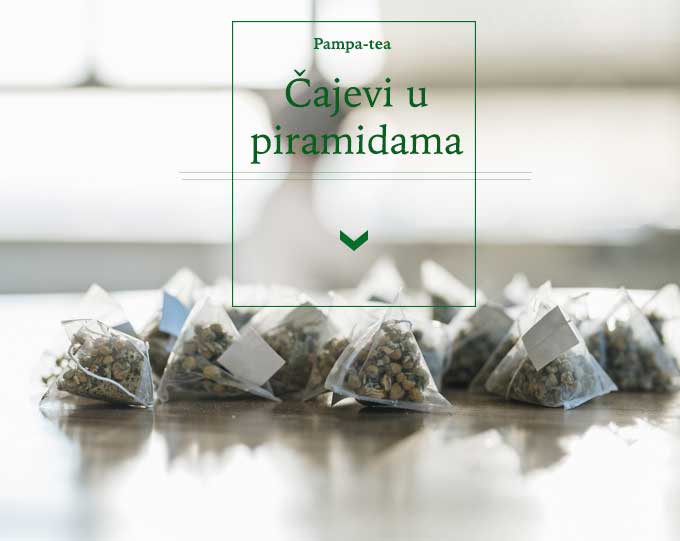 Cajevi Pampa Tea I Proizvodnja Ljekovitog Bilja I Cajeva I
