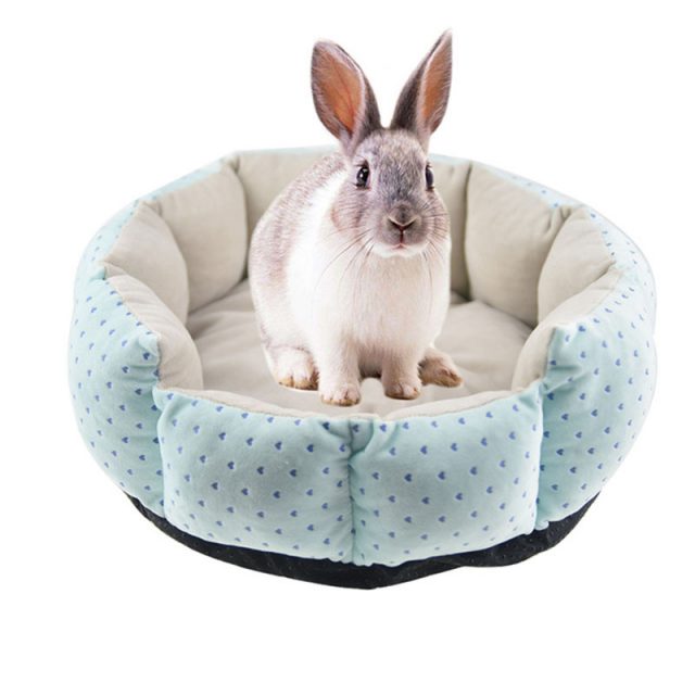 Soft Fleece Rabbit Bed with Stars Print