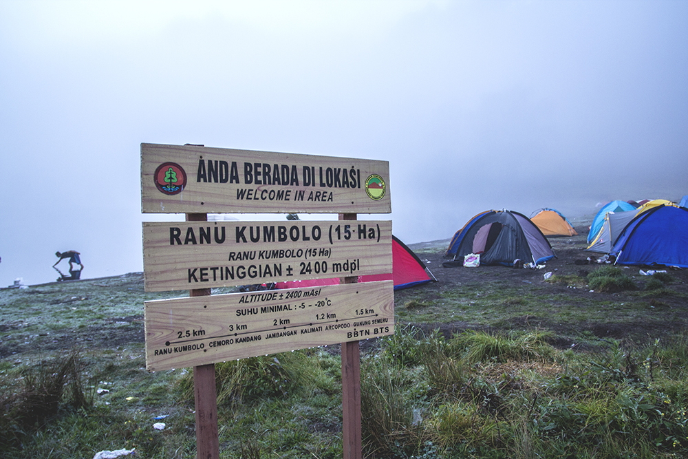 Di Balik Keindahan Mahameru Hari 2 (Ranu Kumbolo – Oro-Oro Ombo – Cemoro Kandang – Kalimati) – Never Ending Exploring