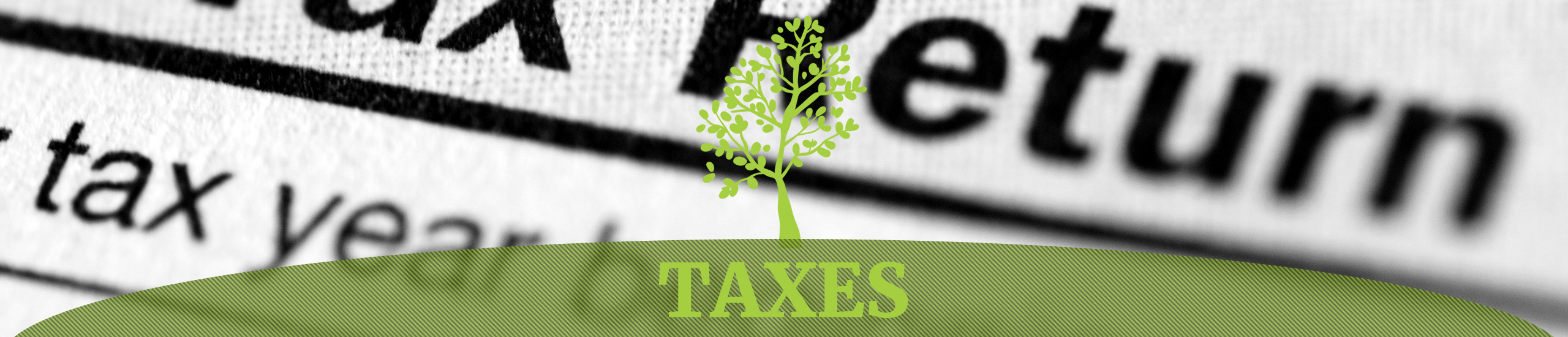 Panacea Business Services Only WHAT You Need, Only WHEN You Need It.