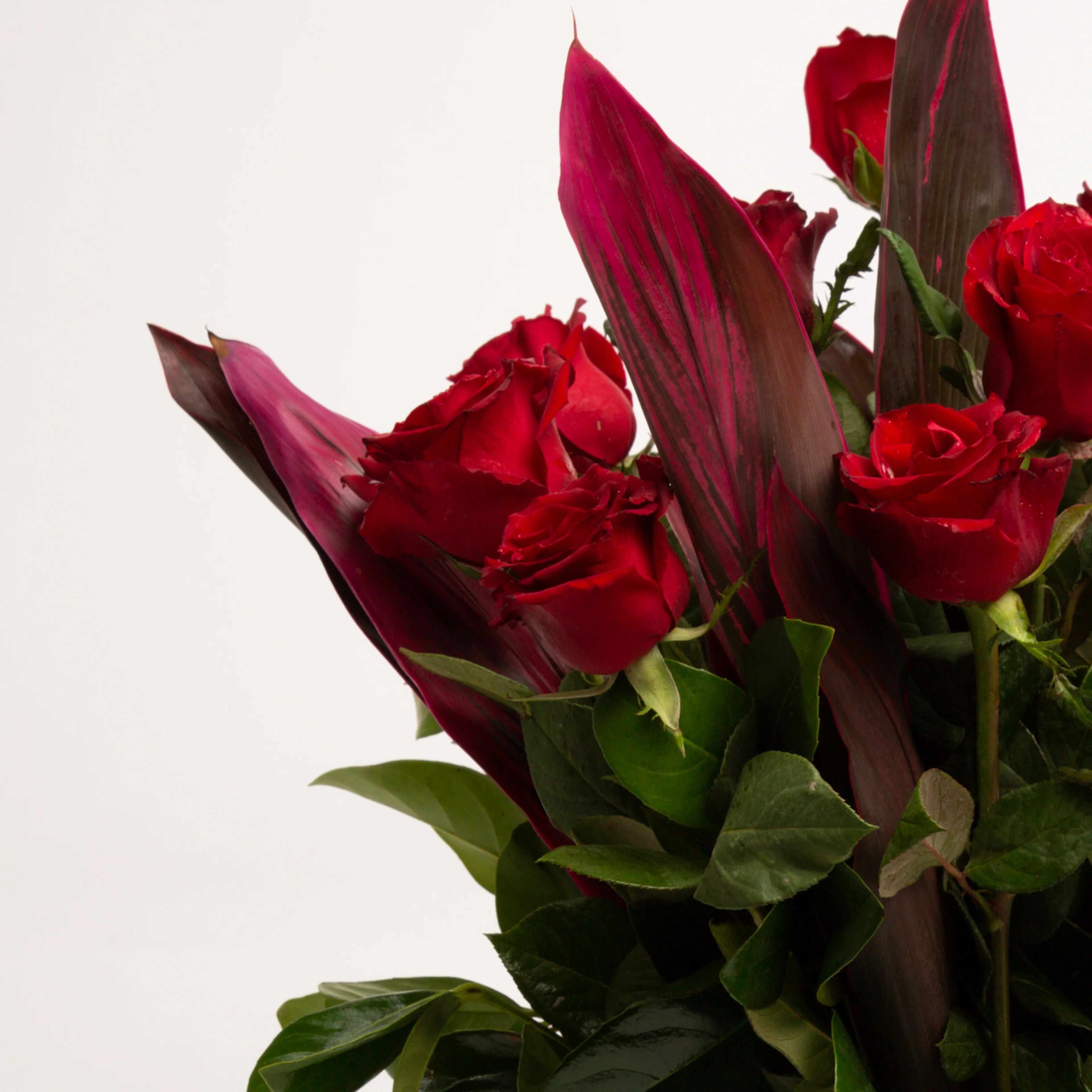 Bouquet of Red Roses Panache Flowers