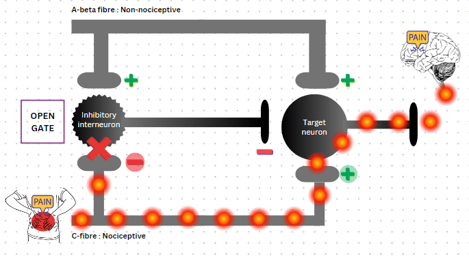 How Does a Tens Machine Work? - Panache Healthneeds Pvt Ltd