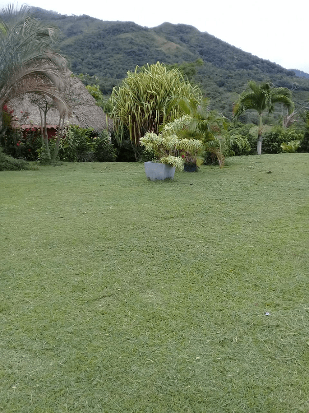 Property For Sale In Sora (Manglarito) Panama Sol Realty