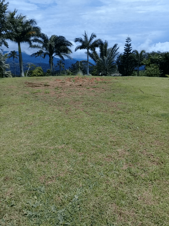 Property For Sale In Sora (Manglarito) Panama Sol Realty