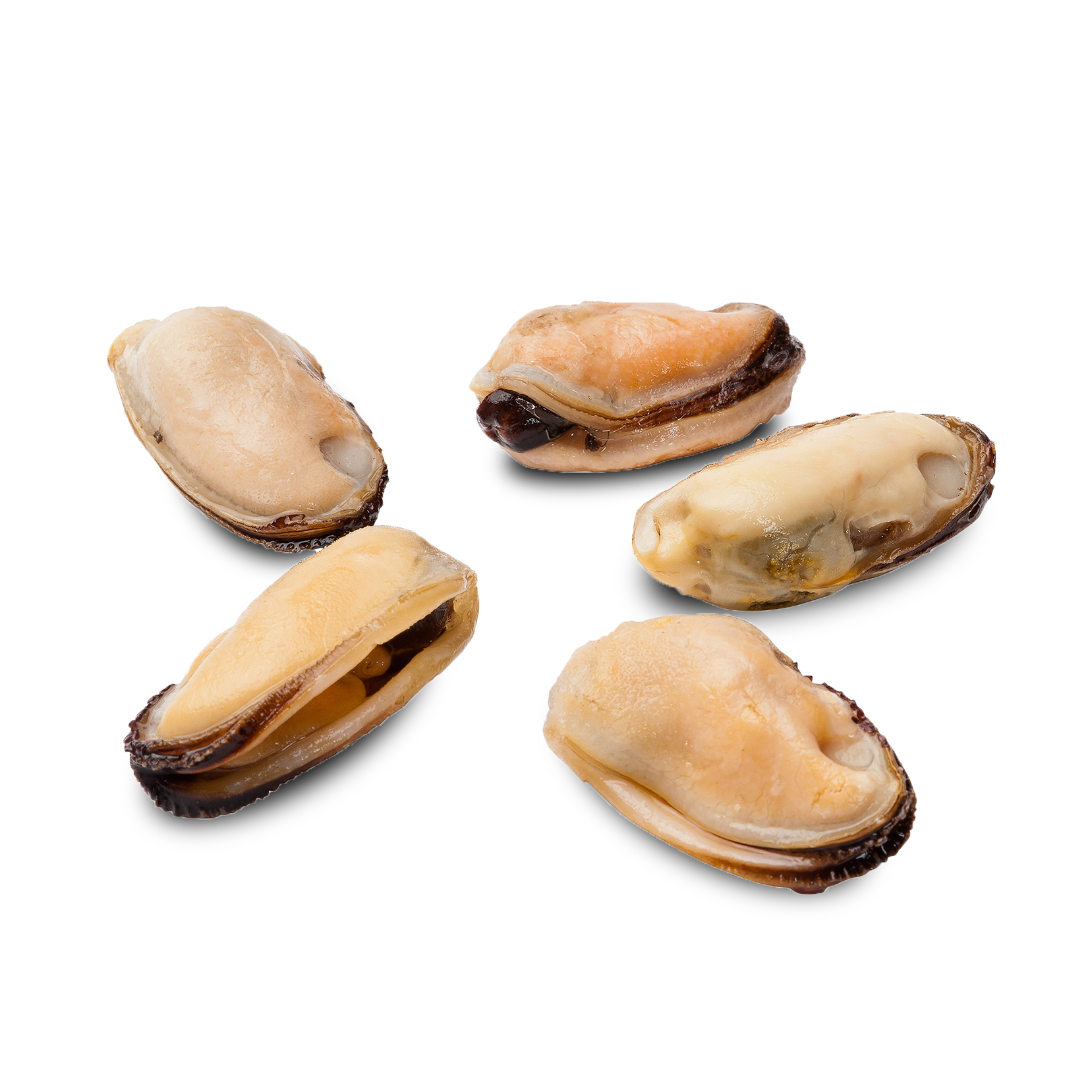 Mussel Meat PanaPesca USA