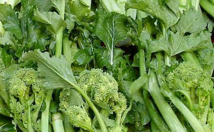 Cime di rapa tutto ciò che devi sapere Pancia e Salute