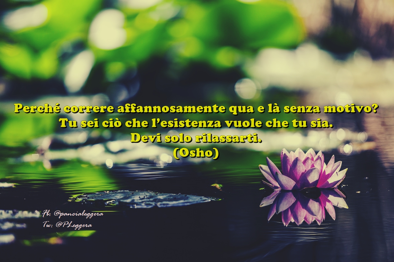 Le citazioni più belle della settimana Pancia Leggera