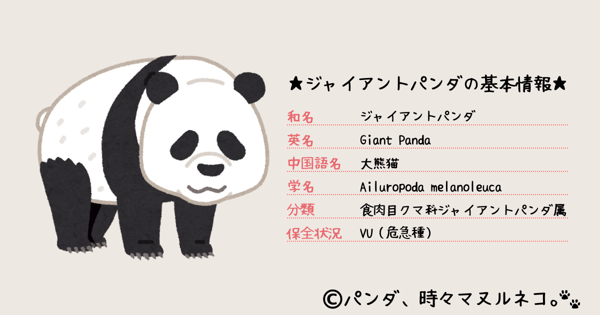 【最新】野生のパンダの生息数｜グラフで見る保護活動の軌跡 パンダ、時々マヌルネコ。