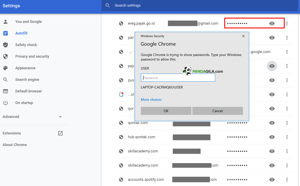 Cara Melihat Password Tersimpan di Google Chrome PC dan