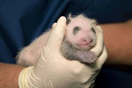 World Photos, Download Free World Stock Photos & HD Images