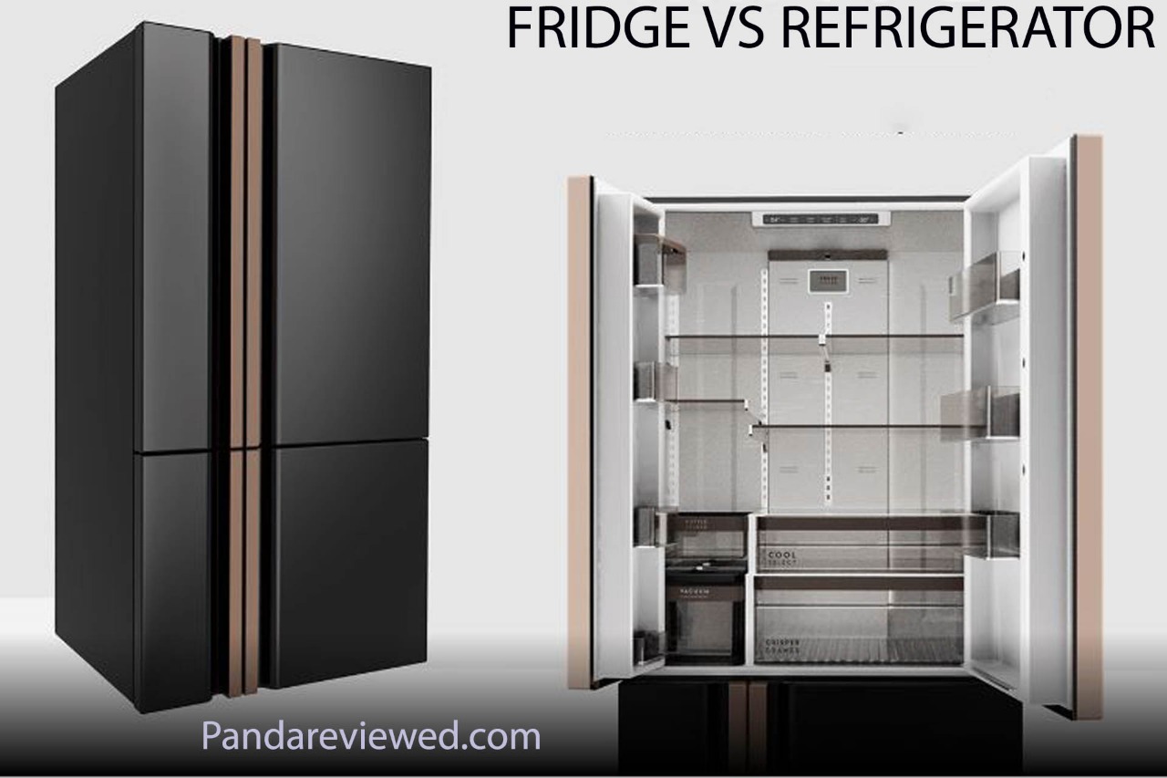 FRIDGE VS REFRIGERATOR Panda Reviews