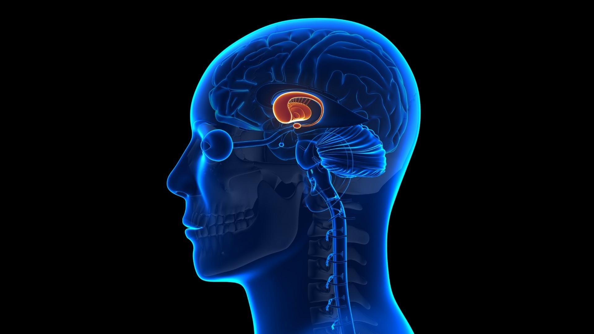 What Is PANDAS? The Latest Research and Treatment Options