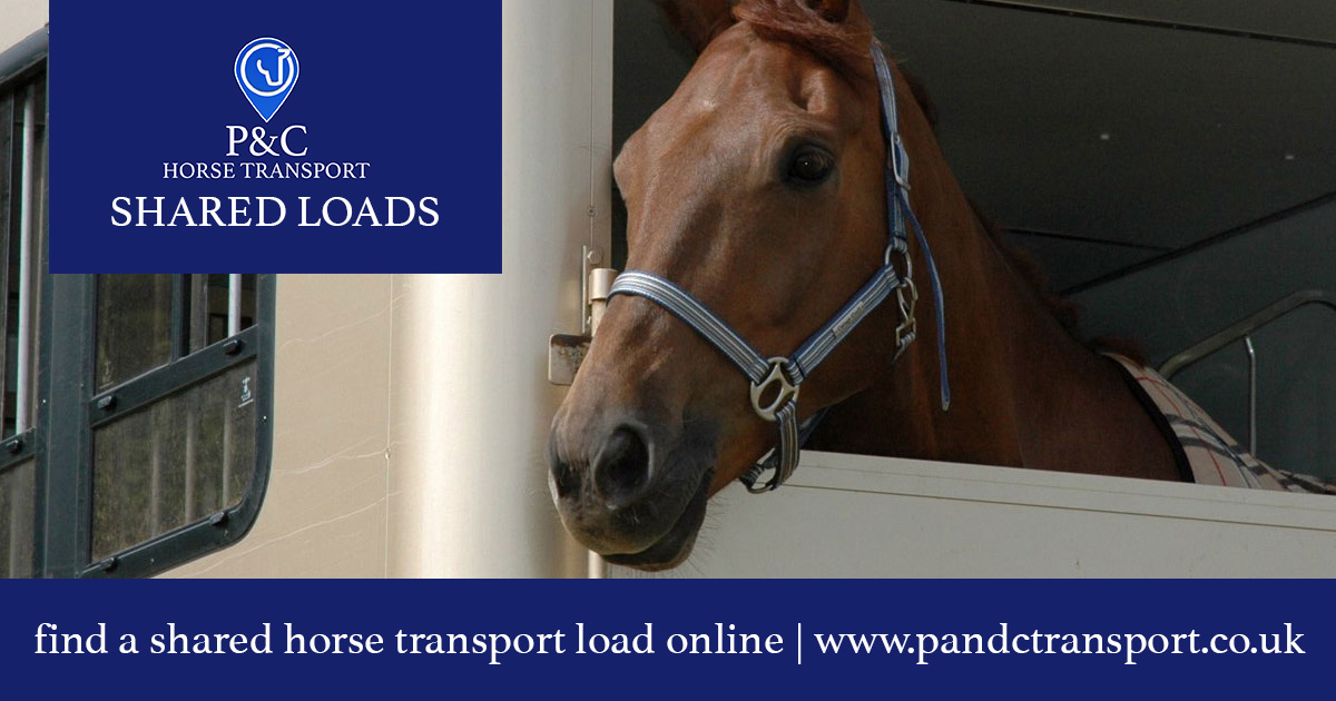 Shared Horse Transport PC Horse Transport