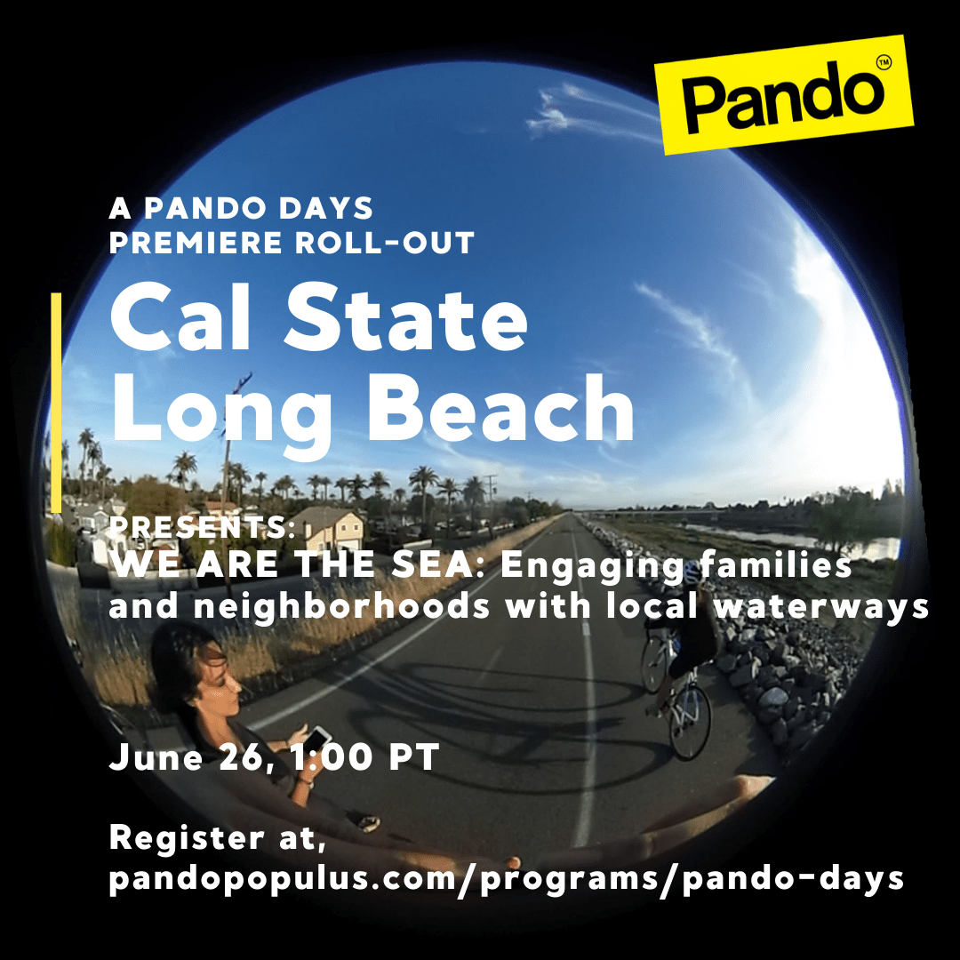 Cal State Long Beach Pando Populus