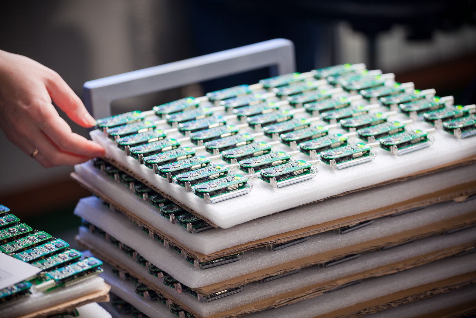 Pandora International