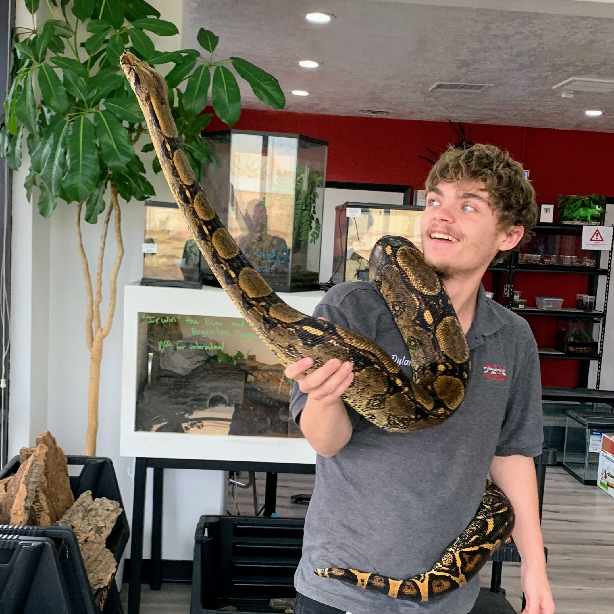 Predator and Prey Exotics Locally Owned Exotic Pet Store in