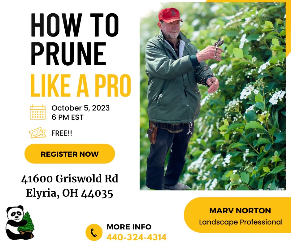 How to Prune Like a Pro Pandy's Garden Center