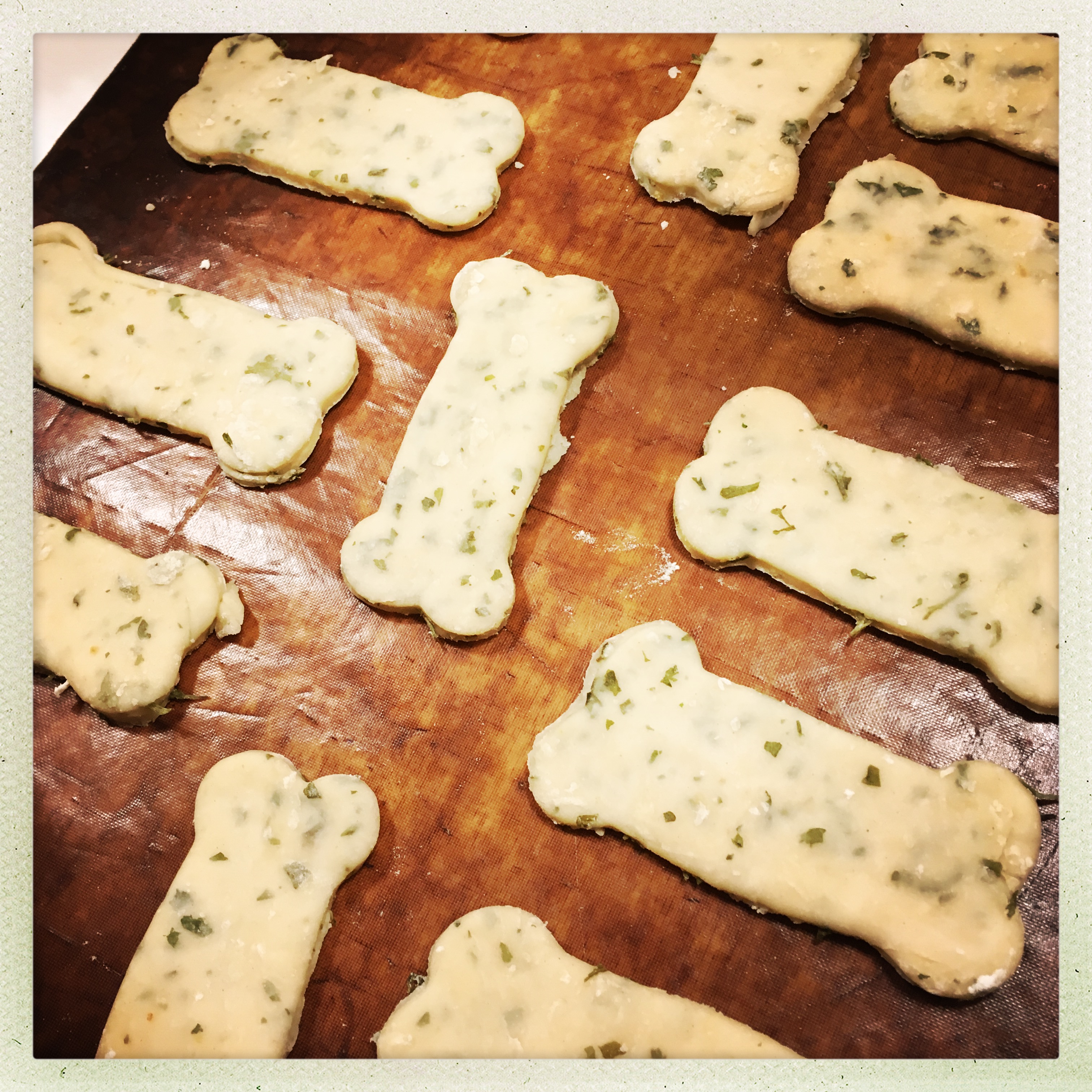 Dog biscuits Pane Amore e Cha Cha Cha