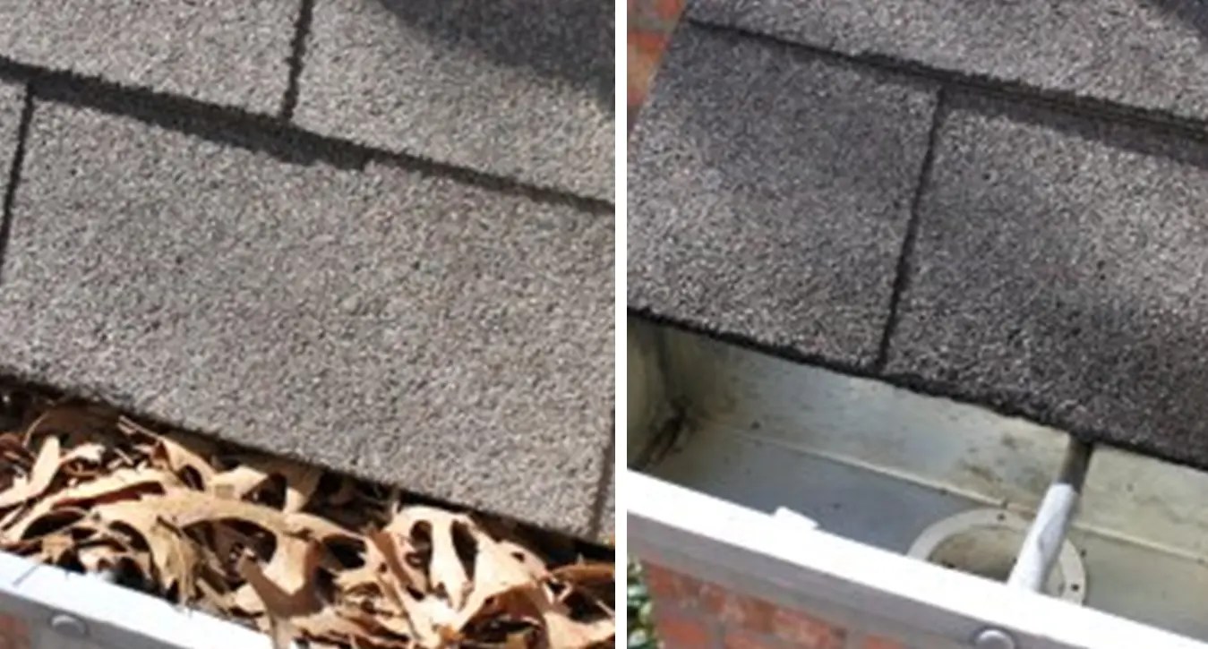 Gutter Cleaning To Clean Or Not To Clean Paneless Home Services