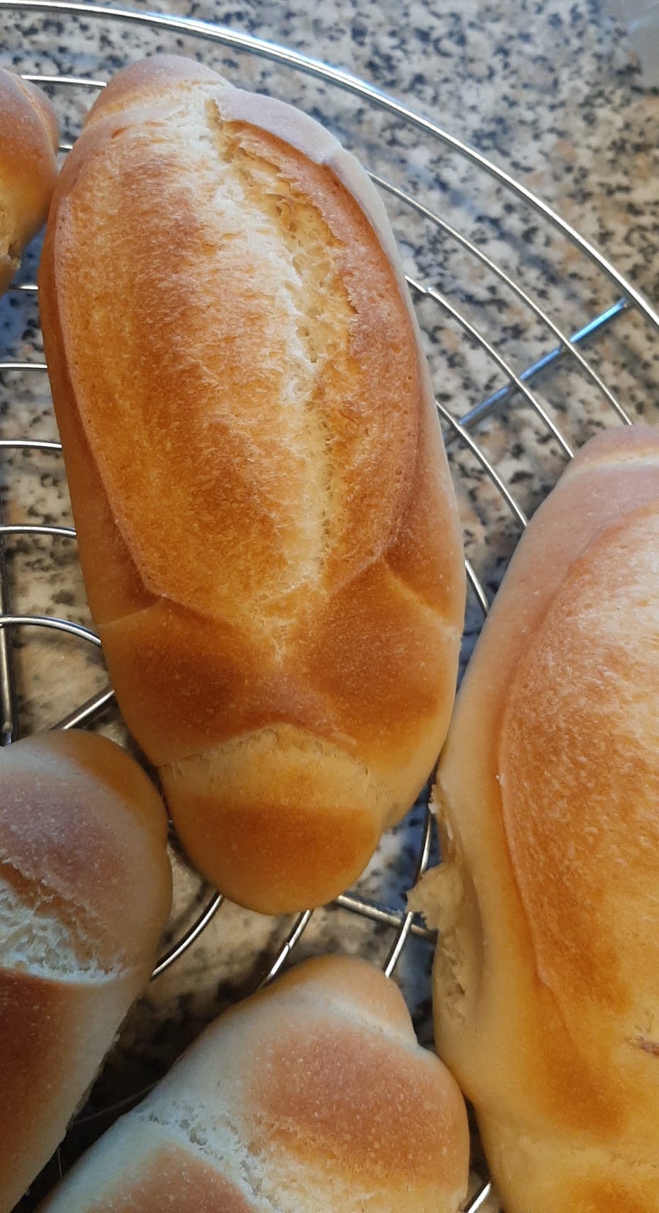 Pan Francés Panes Venezolanos Mapa de Panes Venezolanos