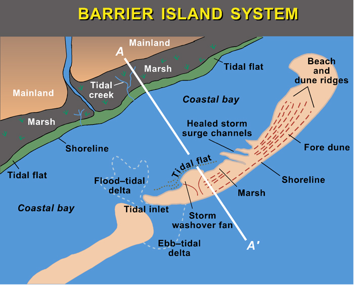 Urbanization And Barrier Islands | Panethos