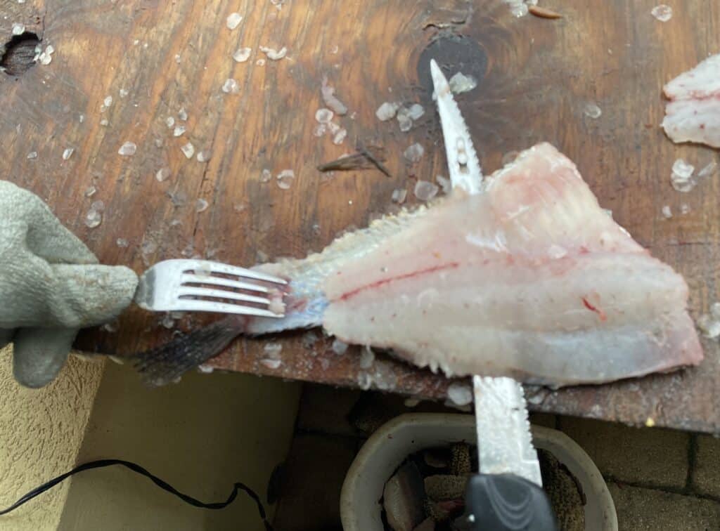 How To Fillet Crappie With An Electric Knife (Step By Step w/pics) • Panfish Nation